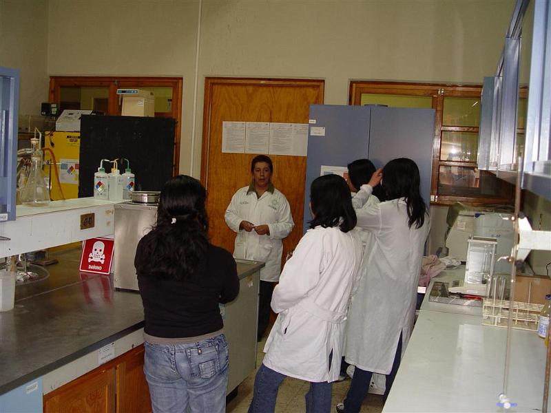 DSC02323 (Large).JPG